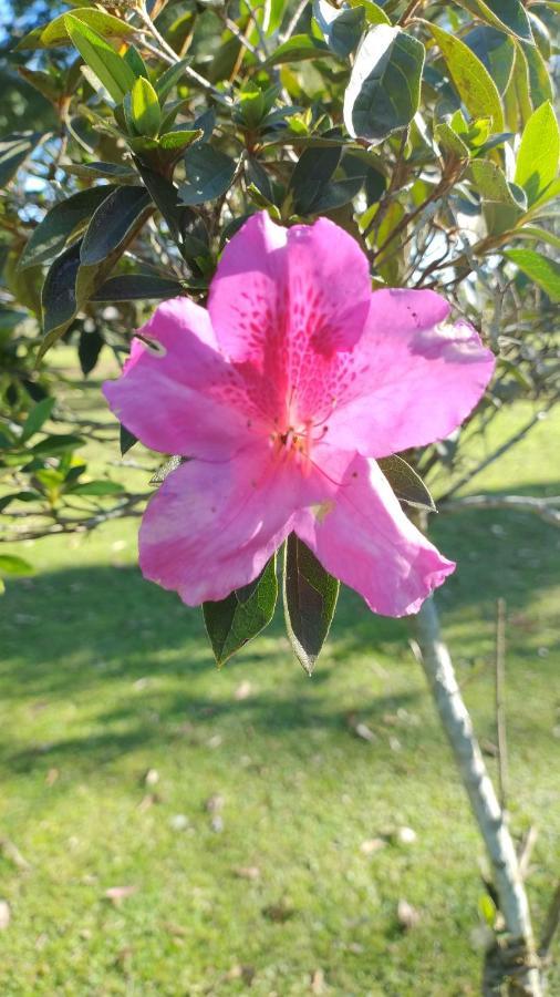 Pousada Do Sobrado Bagé Exterior foto
