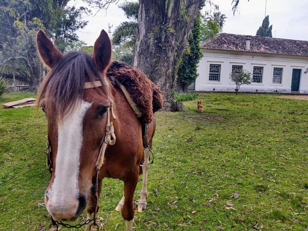Pousada Do Sobrado Bagé Exterior foto